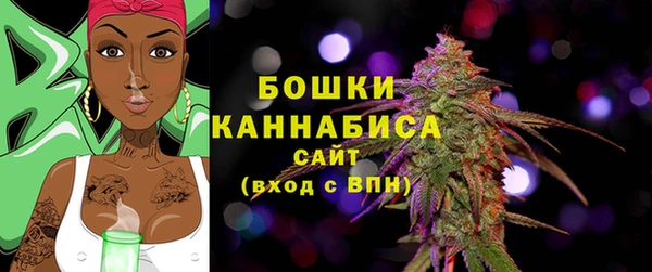 амф Аркадак