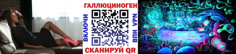 Галлюциногенные грибы Psilocybe  Краснообск 